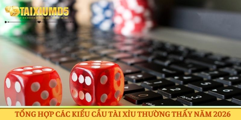 Tổng hợp các kiểu thường thấy năm 2026