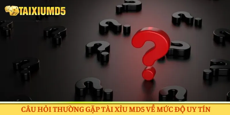 Câu hỏi thường gặp Tài xỉu MD5 về mức độ uy tín