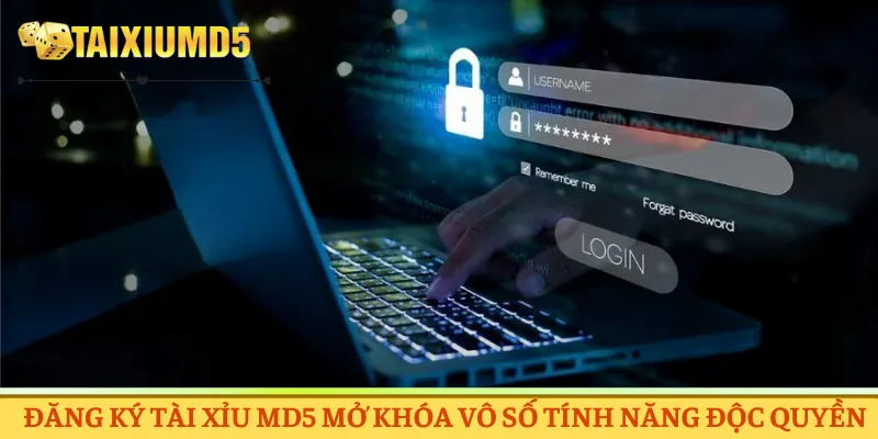 Đăng ký Tài Xỉu MD5 mở khóa vô số tính năng độc quyền