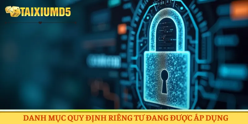 Danh mục quy định riêng tư đang được áp dụng