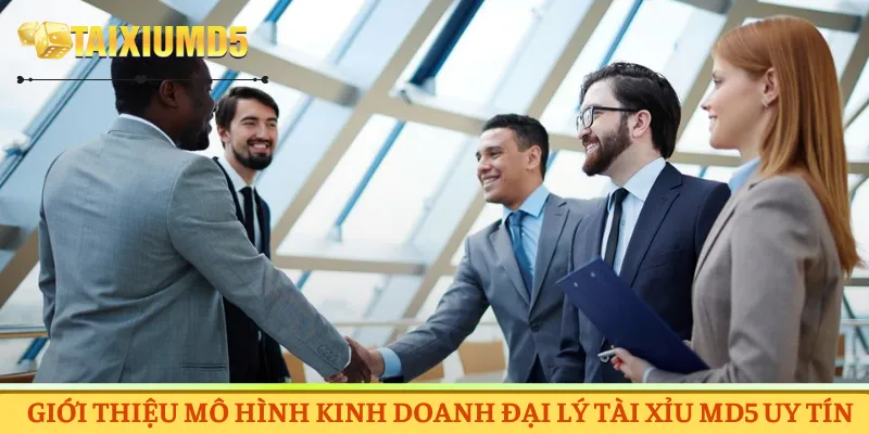 Giới thiệu mô hình kinh doanh đại lý Tài Xỉu MD5 uy tín