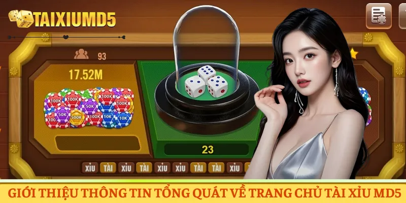 Giới thiệu thông tin tổng quát về trang chủ Tài Xỉu MD5