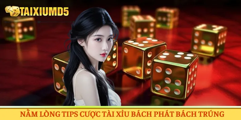 Nằm lòng tips cược tài xỉu bách phát bách trúng