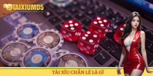 Tài Xỉu Chẵn Lẻ Là Gì - Kinh Nghiệm Vào Tiền Hạn Chế Sai
