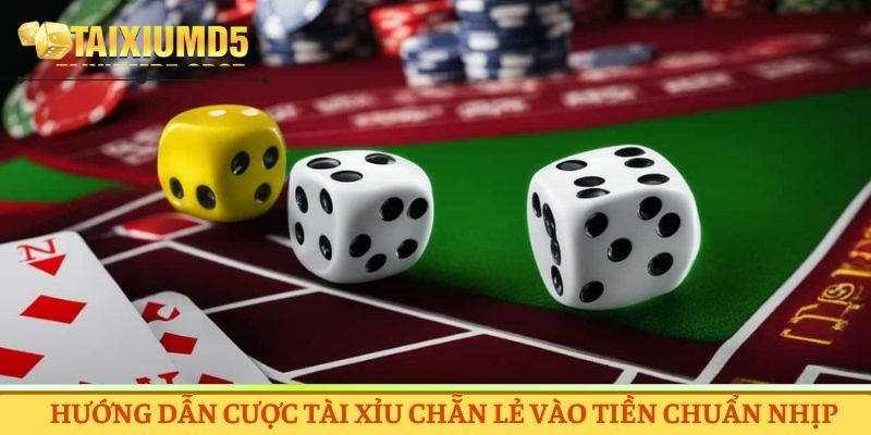 Hướng dẫn cược tài xỉu chẵn lẻ vào tiền chuẩn nhịp