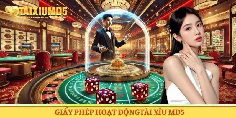 Nền tảng sở hữu nhiều giấy phép hoạt động đảm bảo uy tín