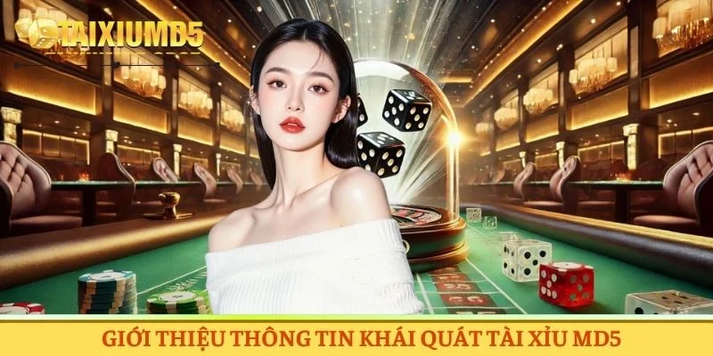 Tổng quan về hệ thống giải trí đẳng cấp Tài Xỉu MD5