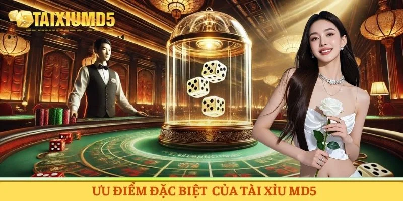 Nền tảng mang nhiều ưu điểm đặc trưng tạo nên sự thu hút