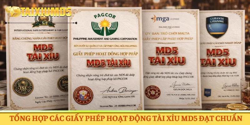 Tổng hợp các giấy phép hoạt động Tài Xỉu MD5 đạt chuẩn